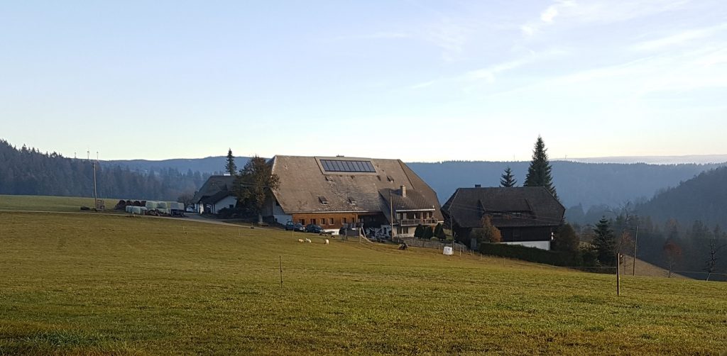 [vogelhof]